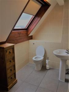 Koupelna v ubytování Neuadd Henllan Lodge