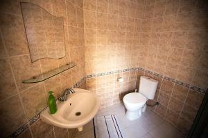 y baño con lavabo y aseo. en Penzion Na Cymbálku, en Horní Třanovice