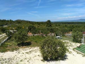 een uitzicht over een tuin met bomen en struiken bij Robinson Crusoe in Drage
