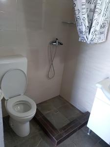 een badkamer met een toilet en een douche bij Robinson Crusoe in Drage