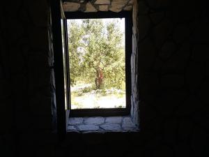 Fotografie z fotogalerie ubytování Robinson Crusoe v destinaci Drage