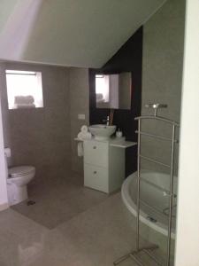 a bathroom with a toilet and a sink and a tub at Apartamentos Torremenguada in Torremenga