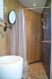 a bathroom with a shower and a sink at Coup 2 Foudres in Saint-Jean-de-Blaignac