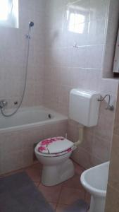 a bathroom with a toilet and a bath tub at Apartment Ankica in Seliste Dreznicko