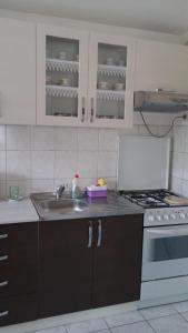 Kuchyň nebo kuchyňský kout v ubytování Apartment Ankica