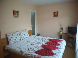 a bedroom with a bed with red pillows on it at Casa Sahar in Turda