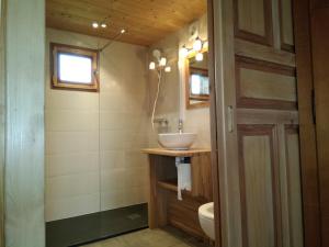 ノートル・ダム・ド・ベルコンブにあるChalets Savoie Les chalets d'Heidiの洗面台とトイレ付きの小さなバスルーム