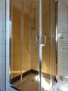 y baño con ducha y puerta de cristal. en Apart-Med, en Zakopane