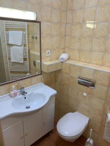 y baño con lavabo, aseo y espejo. en Ivana apartman 3, en Crikvenica