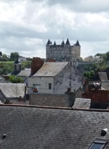 um edifício com um castelo ao fundo com telhados em Appt 2ème étage sur l’ile de Saumur em Saumur