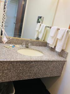 a bathroom counter with a sink and a mirror at Luxury Inn in Albuquerque +14 photos