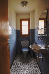 uma casa de banho em azulejos azuis com um WC e um lavatório em Chalet Floriana em Les Diablerets