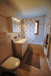 a bathroom with a toilet and a sink and a tub at Chalet Floriana in Les Diablerets