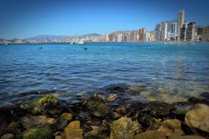 
a large body of water with mountains at Hotel Lido in Benidorm

