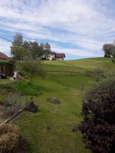 un campo verde con una casa en una colina en Hartl Apartments, en Kirchberg ob der Donau