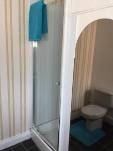 a bathroom with a shower and a toilet at Tanglin Guest House in Oban