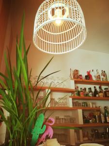 a white lamp hanging from a ceiling with a plant at Hotel Petit in Silvi Marina