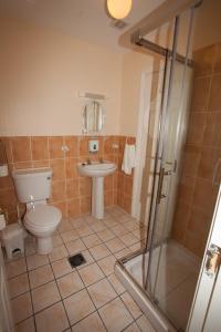 a bathroom with a toilet and a sink at Brassil Bed and Breakfast in Ballyheigue