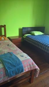 two beds in a room with green walls at Habitaciones para Estudiantes Y/o Mochileros in Lima