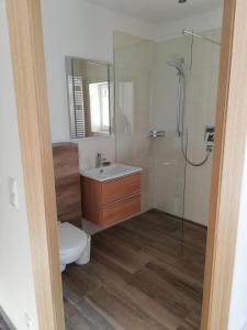 a bathroom with a toilet and a sink and a shower at Haslgut in Fuschl am See