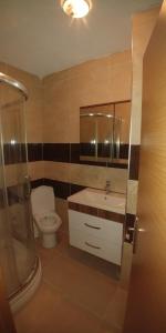 La salle de bains est pourvue de toilettes, d'un lavabo et d'une douche. dans l'établissement New Family Apartment, à Istanbul