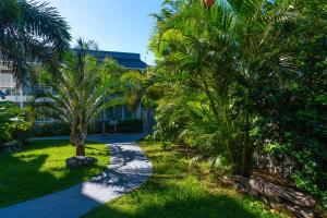 a walkway with palm trees in front of a building at Hotel Beaurivage in Noumea
