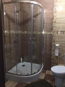 uma cabina de duche na casa de banho com WC em Przytulne mieszkanie em Gdańsk