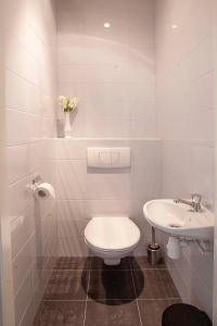 ein weißes Bad mit einem WC und einem Waschbecken in der Unterkunft Bos en Heide in Hezingen