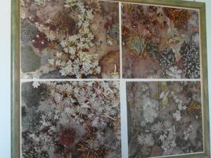 Fotografie z fotogalerie ubytování Abitazione Pigneto B&B v Římě