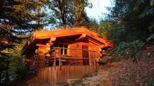 eine Blockhütte inmitten eines Waldes in der Unterkunft Les Cabanes Du Saleve in Collonges-sous-Salève