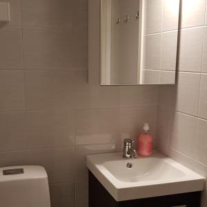 uma casa de banho com um lavatório, um WC e um espelho. em Suojalantie 4 em Heinävesi