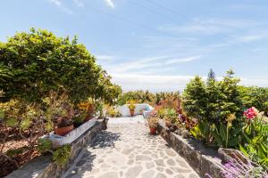 Ein Garten an der Unterkunft El Sitio La Rosa