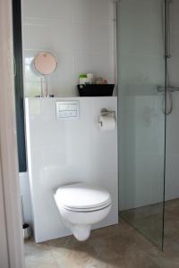 a white bathroom with a toilet and a shower at villa d'illouvre in Saint-Chinian