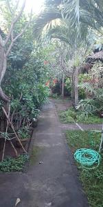 Jardin de l'établissement Pondok Aldi