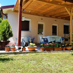 une terrasse avec une table, des chaises et des plantes en pot dans l'établissement Apartments Pinikot, à Dojran