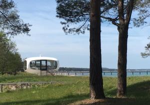 un objet circulaire dans un champ à côté de deux arbres dans l'établissement Hotel Pension Haus Colmsee, à Binz