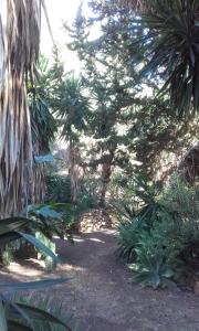 A garden outside Finca Batan