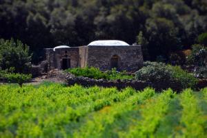 Fotografia z galérie ubytovania I Dammusi Sapori di Pantelleria v destinácii Pantelleria
