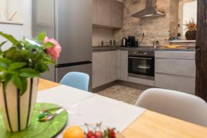 Kuchyň nebo kuchyňský kout v ubytování Guesthouse NINA