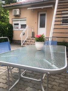 Balkón nebo terasa v ubytování Thermal Garden Weninger Apartmanok