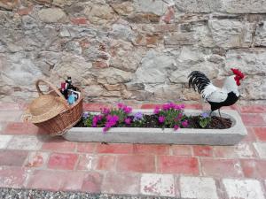 Fotografie z fotogalerie ubytování B&B CASAGRANDE v destinaci Quercegrossa + 24 fotografií