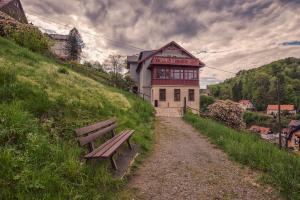 a bench sitting on a hill next to a building at Villa Richter in Kurort Rathen