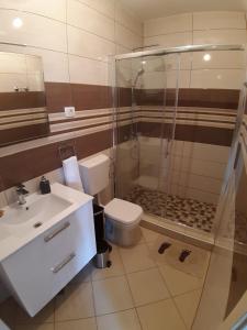 a bathroom with a shower and a toilet and a sink at LANELU apartman in Rogoznica