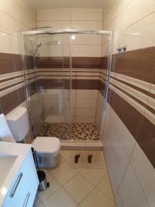 a bathroom with a shower and a toilet at LANELU apartman in Rogoznica
