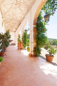 a hallway with potted plants in a building at Agriturismo Grazia in Orbetello