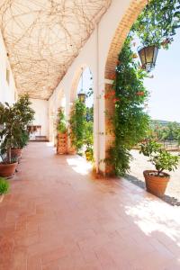 Fotografie z fotogalerie ubytování Agriturismo Grazia v destinaci Orbetello