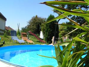 uma piscina com escorrega num quintal em Bachäckerhof - Nichtraucherhotel- em Ravensburg