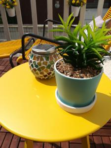 a yellow table with a potted plant on it at Halte 46 Weert in Weert