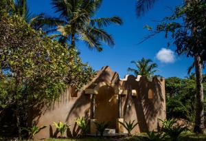 a house in the jungle with palm trees at Turtle Cove Lodge and Yoga Shala in Praia do Tofo