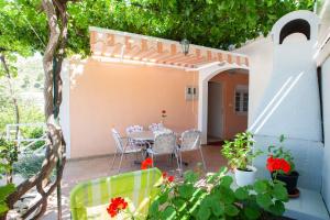 Zahrada ubytování Villa Nedika